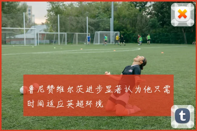鲁尼赞维尔茨进步显著认为他只需时间适应英超环境